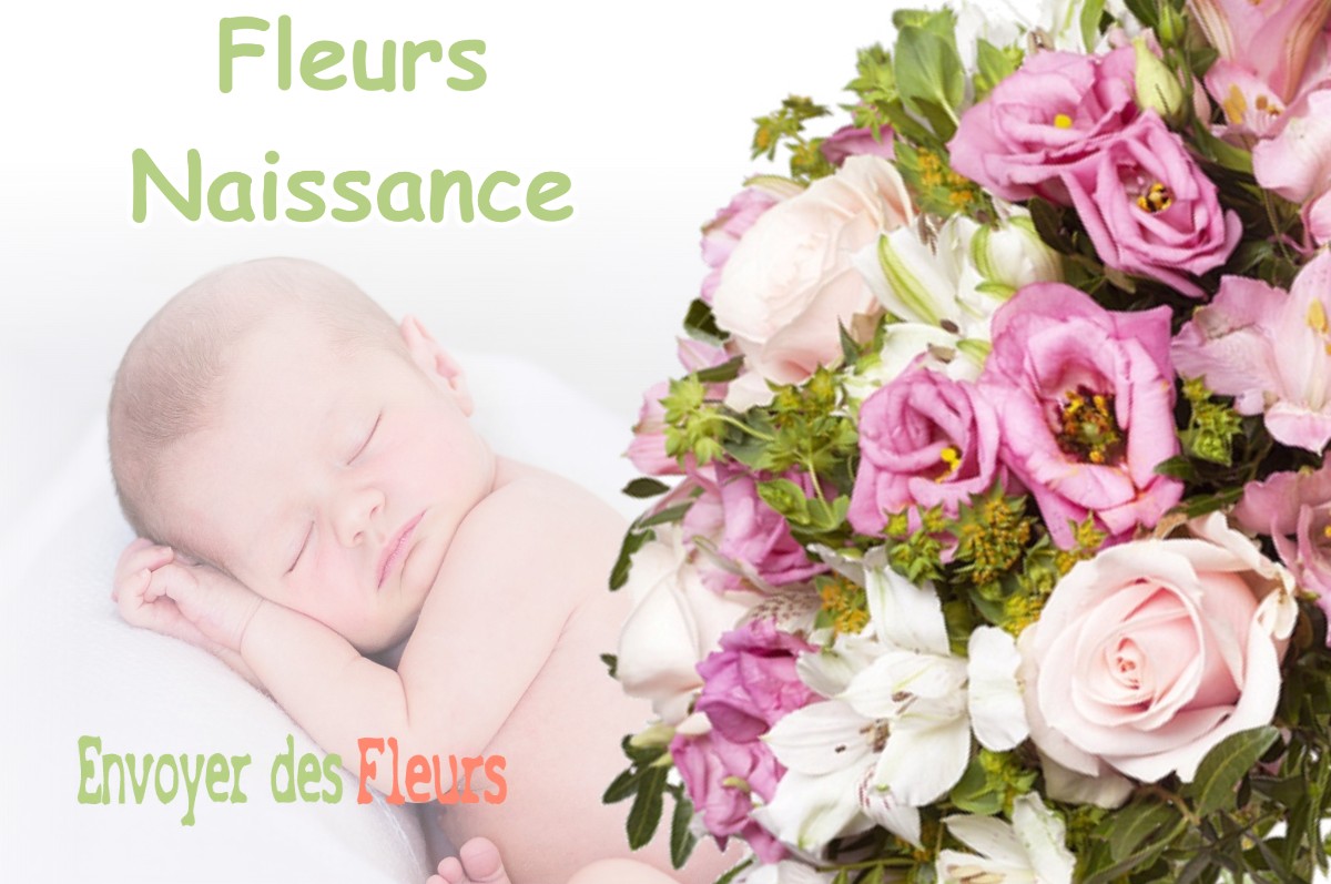 lIVRAISON FLEURS NAISSANCE à LABEUVILLE